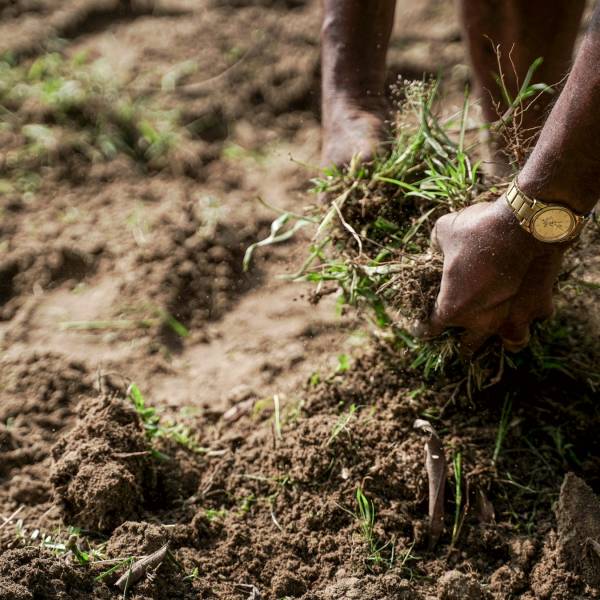 sohail-shaikh-_d9F4K_TPQ0-unsplash